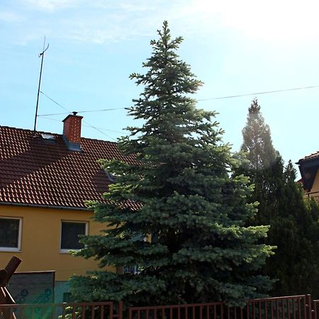 Dom Studia Petra Hotel Štúrovo Bagian luar foto