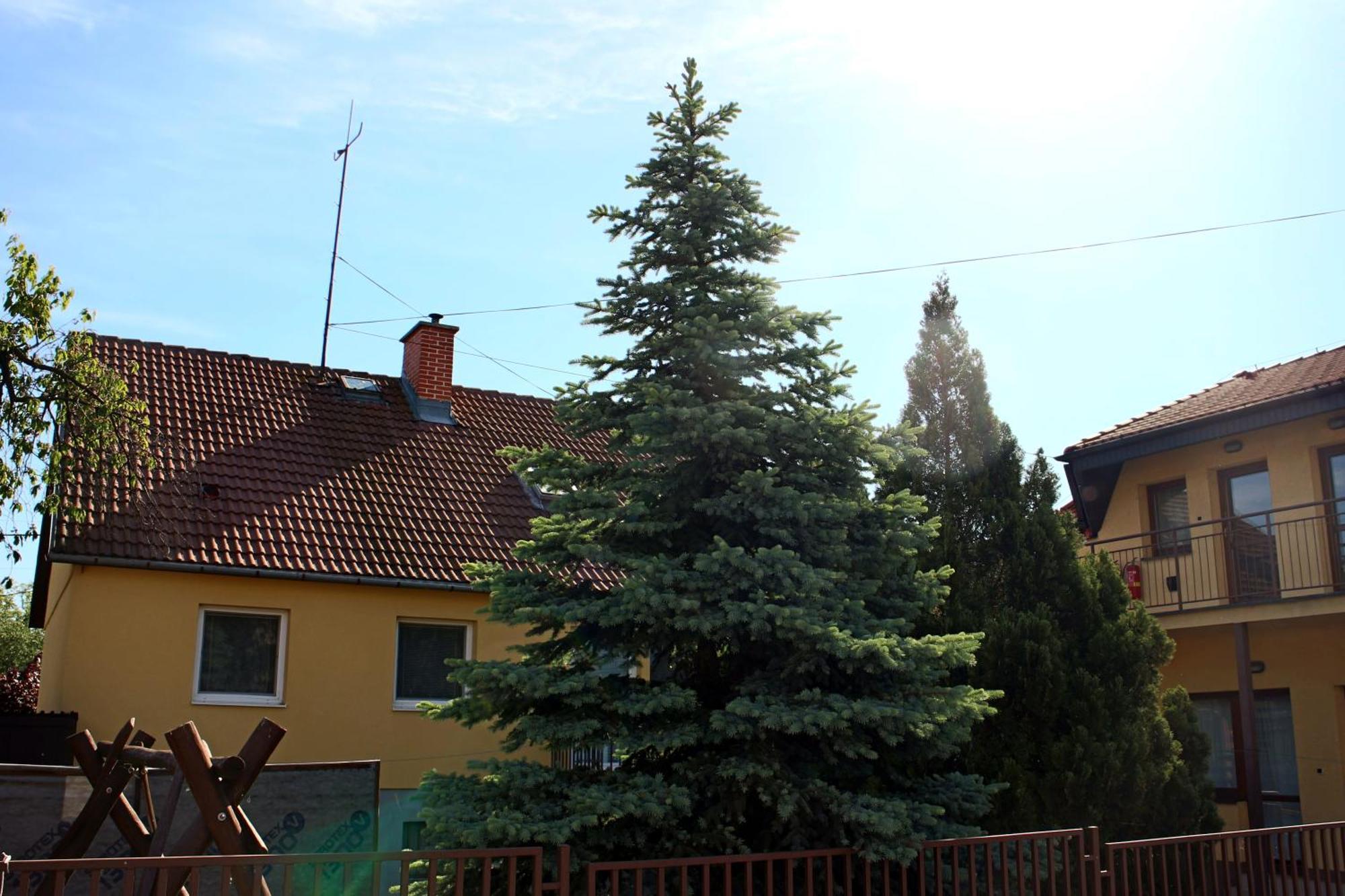 Dom Studia Petra Hotel Štúrovo Bagian luar foto